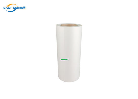 ราคาดี ม้วนฟิล์มสัตว์เลี้ยงด้านเดียวสีสันสดใส Hot Peel Dtf 30 ซม. สำหรับการถ่ายเทความร้อน ออนไลน์