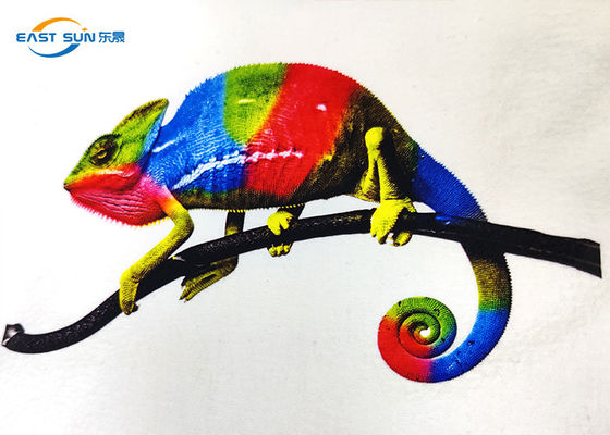 ราคาดี ฟิล์ม PET A3 ถ่ายเทความร้อนที่พิมพ์ได้ 600 มม. สำหรับการพิมพ์อิงค์เจ็ท DTF ออนไลน์