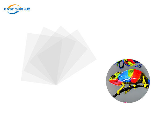 ราคาดี ฟิล์มถ่ายเทความร้อน DTF ขนาดกว้าง 60 ซม. 33 ซม. 30 ซม. สีขาว ออนไลน์